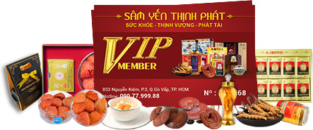 Sâm yến thịnh phát