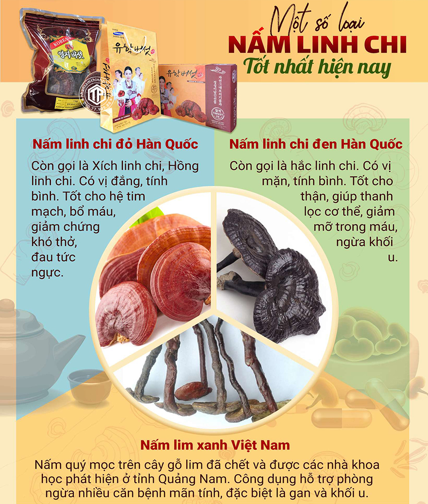 Một số loại nấm linh chi tốt nhât hiện nay
